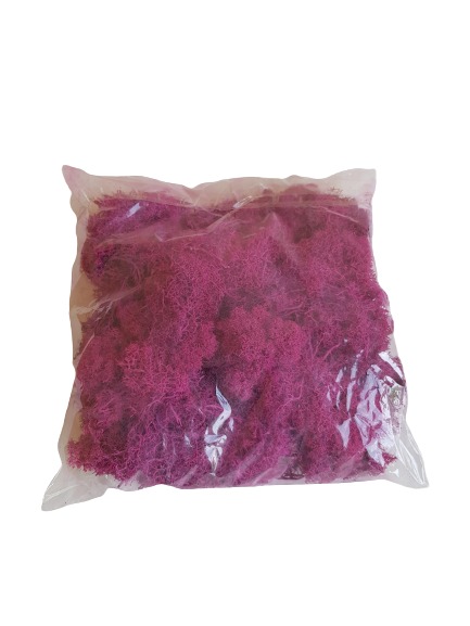 MECH CHROBOTEK WORKI 200GR AMARANT