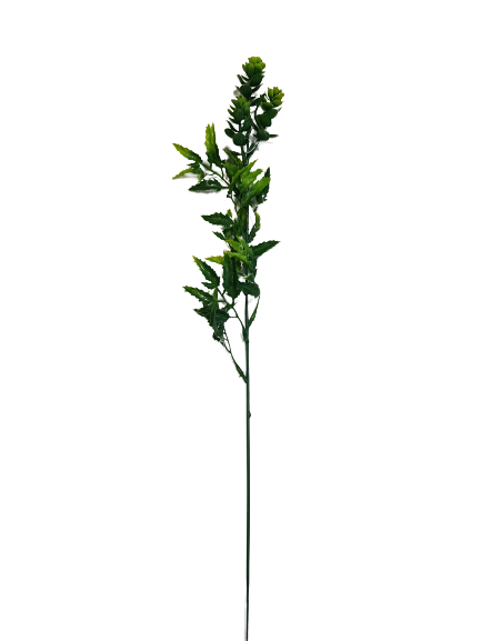 DODATEK X6 EV95 ZIELONY