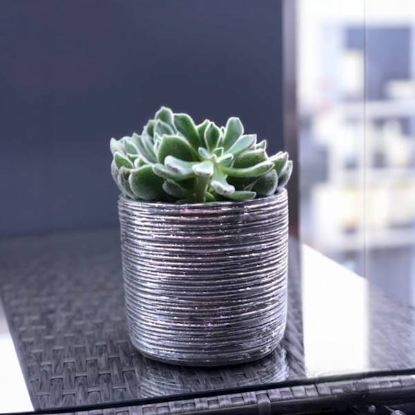CYLINDER CERAMICZNY 0519314 SREBRNY SZARY 