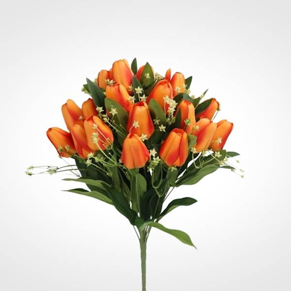 TULIPAN BUKIET HD8426 MIX4 MIX KOLOR 