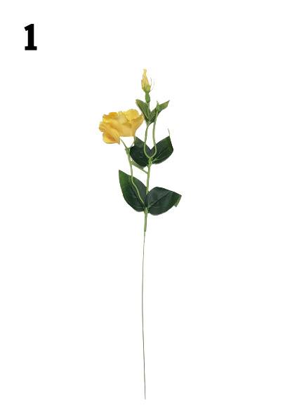 EUSTOMA GAŁĄZKA EU53 MIX KOLOR