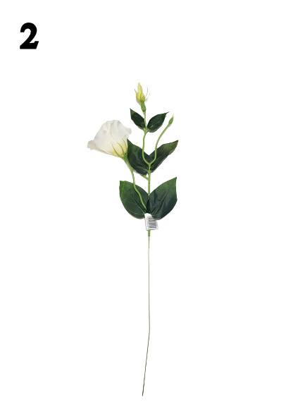 EUSTOMA GAŁĄZKA EU53 MIX KOLOR