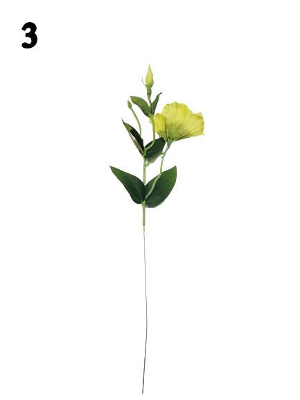 EUSTOMA GAŁĄZKA EU53 MIX KOLOR