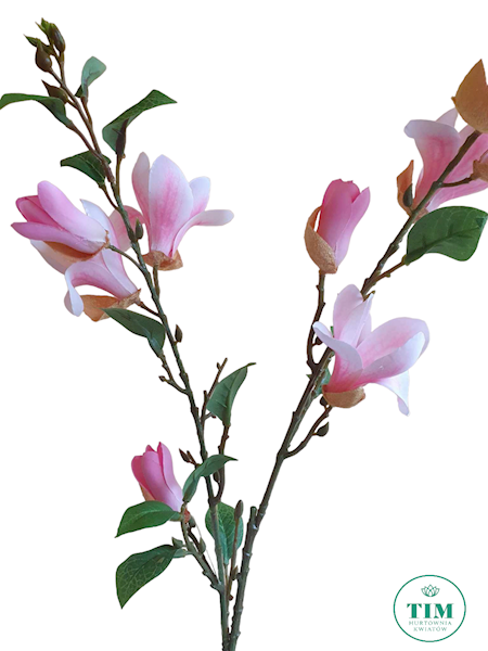 MAGNOLIA GAŁĄZKA HD8582 MIX KOLOR