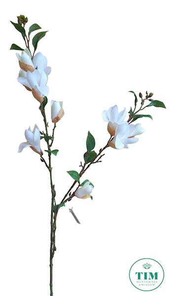 MAGNOLIA GAŁĄZKA HD8582 MIX KOLOR