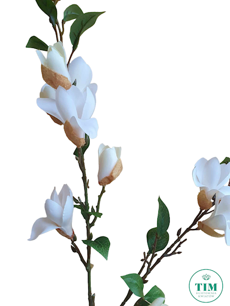 MAGNOLIA GAŁĄZKA HD8582 MIX KOLOR