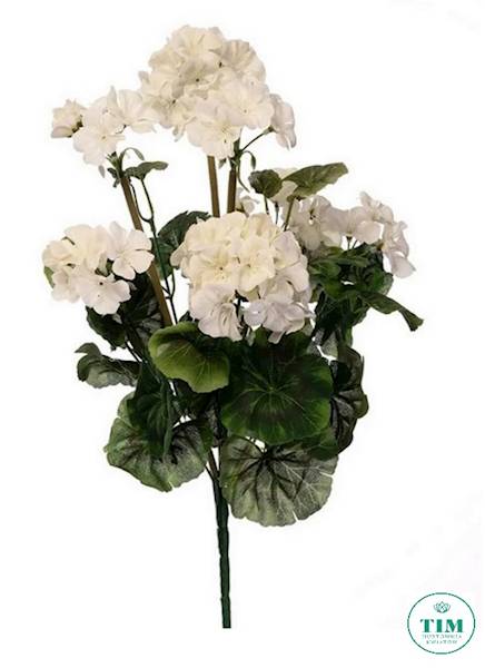 PELARGONIA BUKIET AX39048 MIX KOLOR