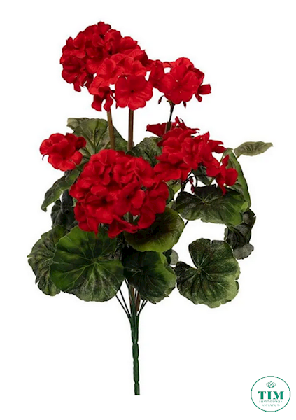 PELARGONIA BUKIET AX39048 MIX KOLOR