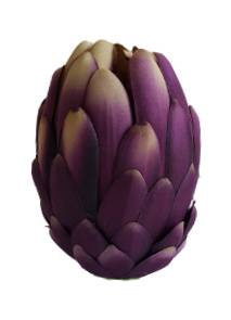 PROTEA WYROBOWA X6 ART222 FIOLETOWY