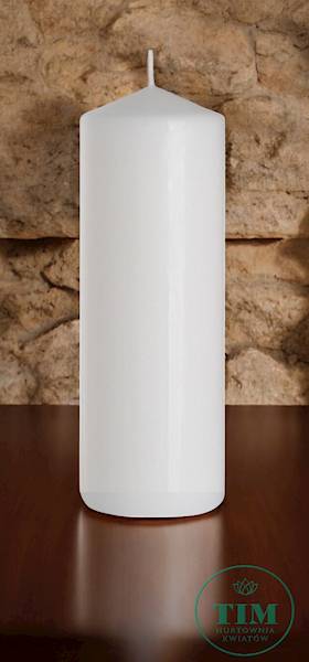 ŚWIECA WALEC W100250N18 100X380 BIAŁY