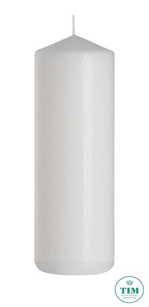 ŚWIECA WALEC W100250N18 100X380 BIAŁY