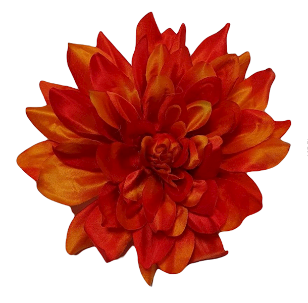 DALIA WYROBOWA X6 P2020 MIX KOLOR