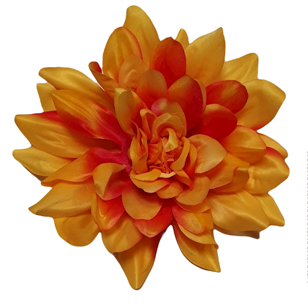 DALIA WYROBOWA X6 P2020 MIX KOLOR