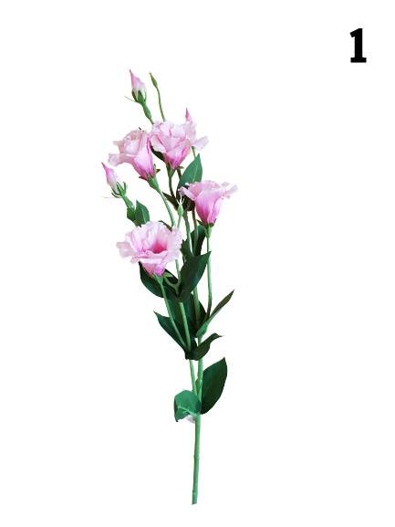 EUSTOMA GAŁĄZKA SUN345 MIX1 MIX KOLOR