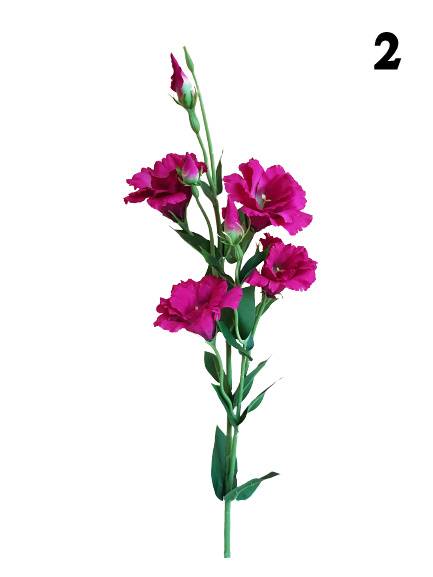 EUSTOMA GAŁĄZKA SUN345 MIX1 MIX KOLOR