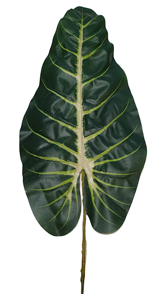 LIŚĆ ANTHURIUM X12 KX10294 ZIELONY