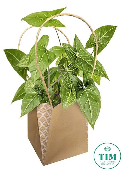 TOREBKA PAPIEROWA X10 38O1603 NATURALNY