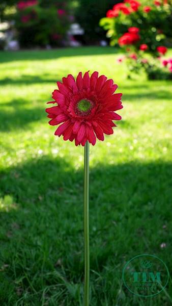 GERBERA GAŁĄZKA SUN529 CZERWONY