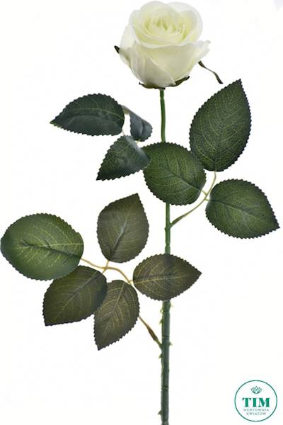 RÓŻA GAŁĄZKA ART004 ZIELONY