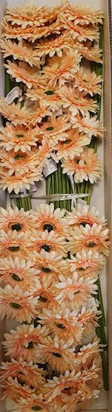 GERBERA GAŁĄZKA SUN529 BRZOSKWINIA