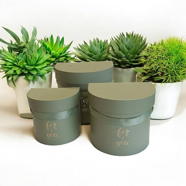 FLOWER BOX X3 GŁADKI W3281 OLIWKA