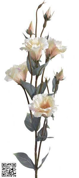 EUSTOMA GAŁĄZKA SUN742 MIX6 MIX KOLOR