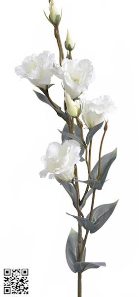EUSTOMA GAŁĄZKA SUN742 MIX6 MIX KOLOR