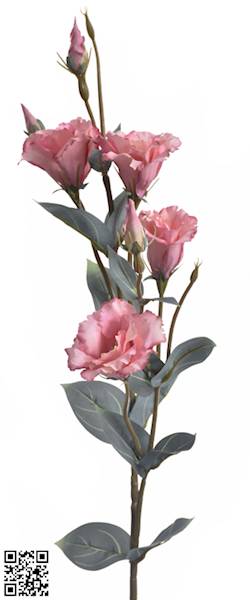 EUSTOMA GAŁĄZKA SUN742 MIX6 MIX KOLOR