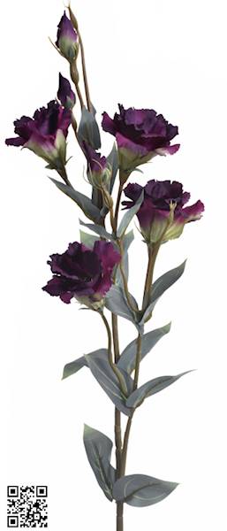EUSTOMA GAŁĄZKA SUN742 MIX6 MIX KOLOR