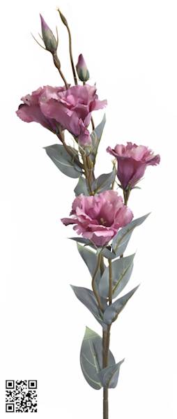 EUSTOMA GAŁĄZKA SUN742 MIX6 MIX KOLOR