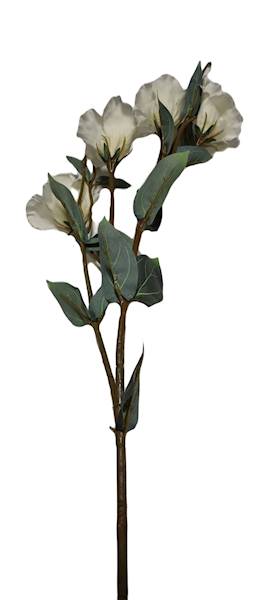 EUSTOMA GAŁĄZKA SUN742 BIAŁY