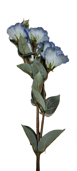 EUSTOMA GAŁĄZKA SUN742 BŁĘKITNY