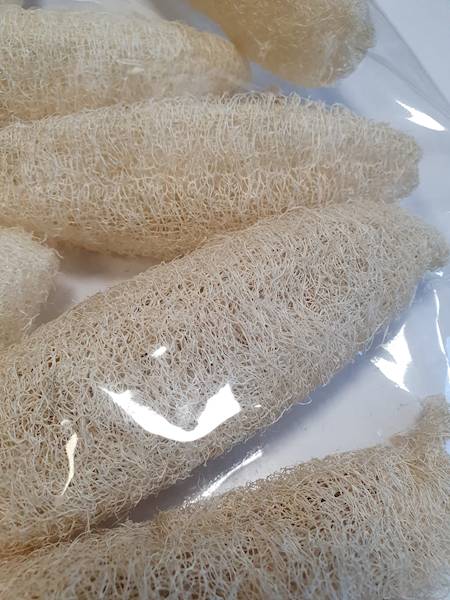 LUFFA X10 SULUFFAB10 KREMOWY