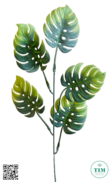 DODATEK MONSTERA X12 Z491 ZIELONY