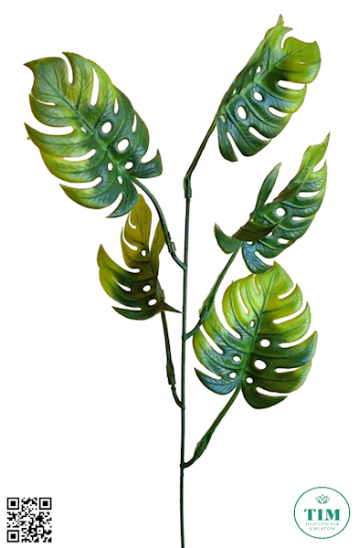 DODATEK MONSTERA X12 Z491 ZIELONY