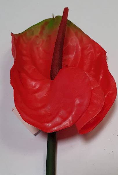 ANTHURIUM GAŁĄZKA GUMOWANE EV114 CZERWONY
