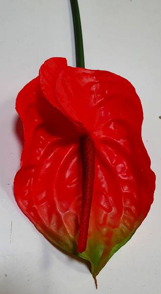 ANTHURIUM GAŁĄZKA GUMOWANE EV114 CZERWONY