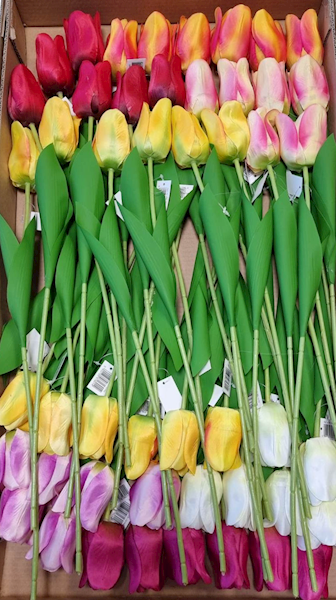 TULIPAN GAŁĄZKA KX15163 MIX KOLOR