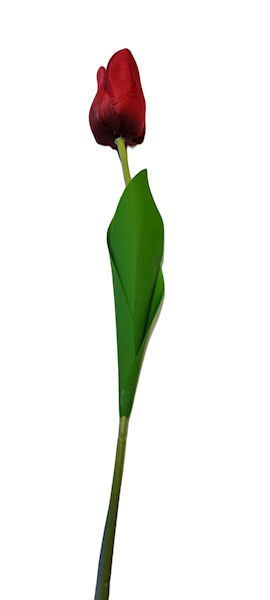 TULIPAN GAŁĄZKA KX15163 MIX KOLOR