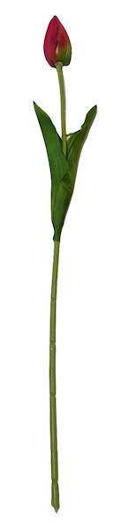 TULIPAN GAŁĄZKA KX15164 MIX KOLOR