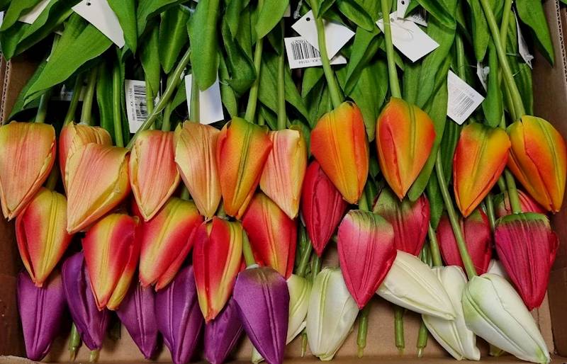 TULIPAN GAŁĄZKA KX15164 MIX KOLOR