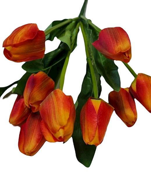 TULIPAN BUKIET KX15166 MIX KOLOR