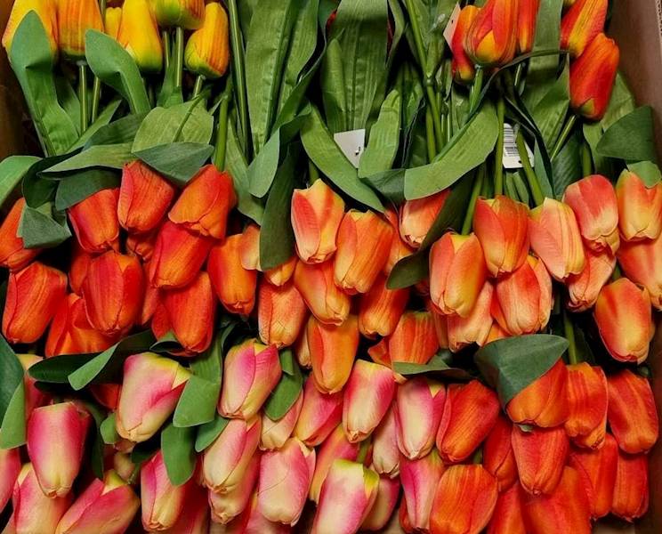 TULIPAN BUKIET KX15166 MIX KOLOR