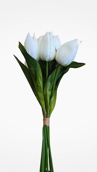 TULIPAN BUKIET X9 LY055 MIX KOLOR