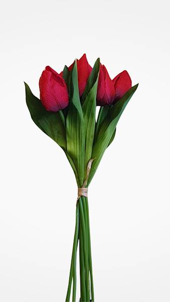 TULIPAN BUKIET X9 LY055 MIX KOLOR