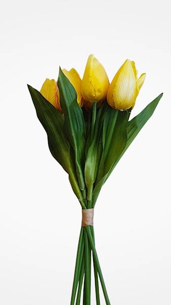 TULIPAN BUKIET X9 LY055 MIX KOLOR