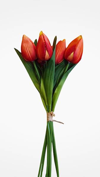 TULIPAN BUKIET X9 LY055 MIX KOLOR