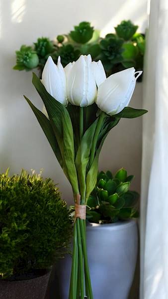 TULIPAN BUKIET X9 LY055 MIX KOLOR