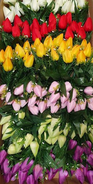 TULIPAN BUKIET M754 MIX KOLOR