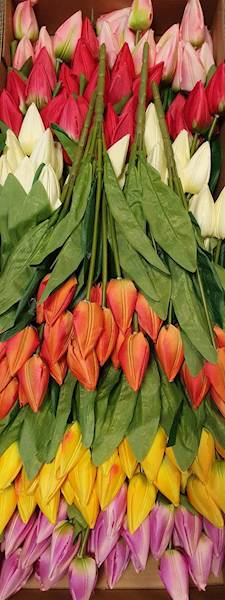 TULIPAN BUKIET F92 MIX KOLOR